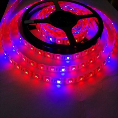 Matériau du corps de la lampe de démarrage à semence PC LED Grow Light Strip avec 5050 Dc 12v/24v