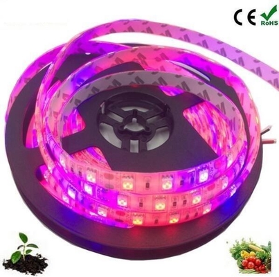 Matériau du corps de la lampe de démarrage à semence PC LED Grow Light Strip avec 5050 Dc 12v/24v