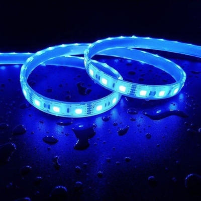 85-265V Voltage d'entrée Éclairage intelligent LED Grow Light Strip 5 mètres pour le camping