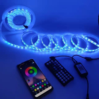 85-265V Voltage d'entrée Éclairage intelligent LED Grow Light Strip 5 mètres pour le camping