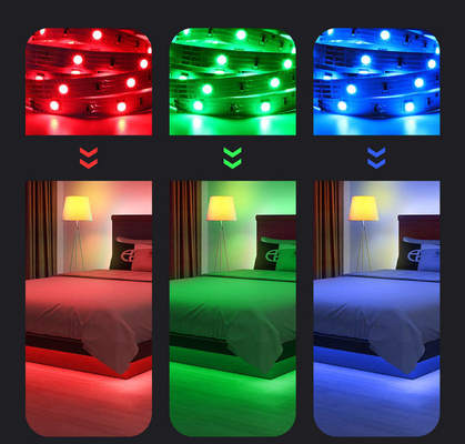 85-265V Voltage d'entrée Éclairage intelligent LED Grow Light Strip 5 mètres pour le camping